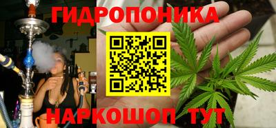 spice Краснодар