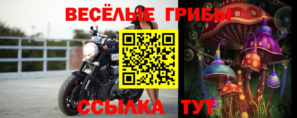 Псилоцибиновые грибы мицелий Красногорск
